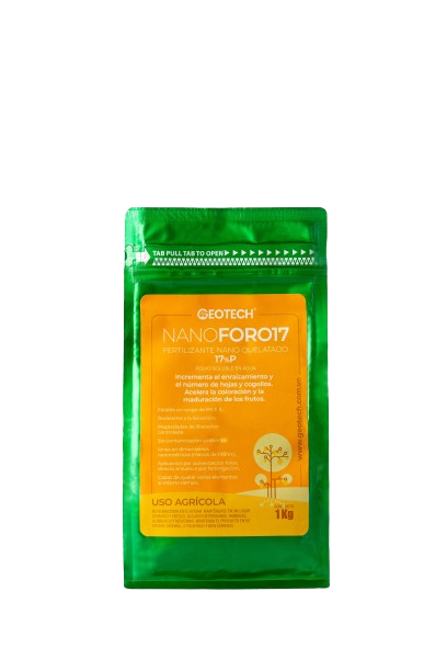 IMG_2433-removebg-preview