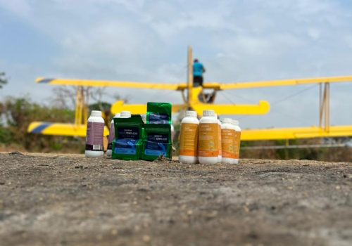 bd2de76f-f905-49cb-9741-2b8403e7d780